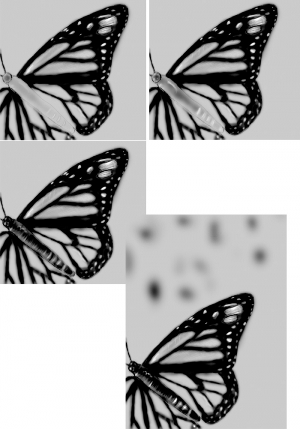 Creation of Monarch Butterfly: Step 4